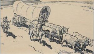 MD Dixon Wagon Cows and Cowboy on Horseback
