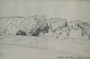 MD Monterey Trees, 1927
