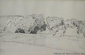 MD Monterey Trees, 1927